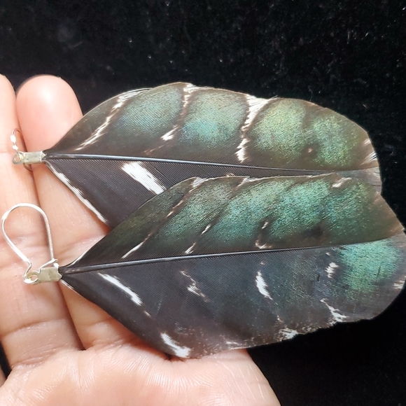 Feather 🪶 Earrings. - Picture 1 of 7